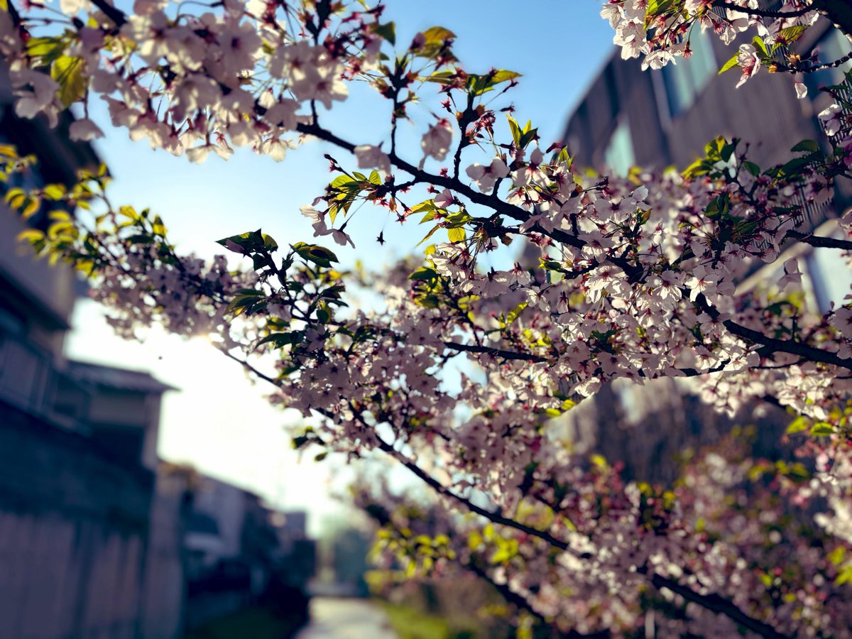 たけまん tweet media