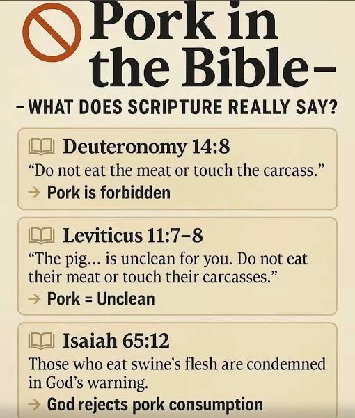 Captain Haddock tweet media