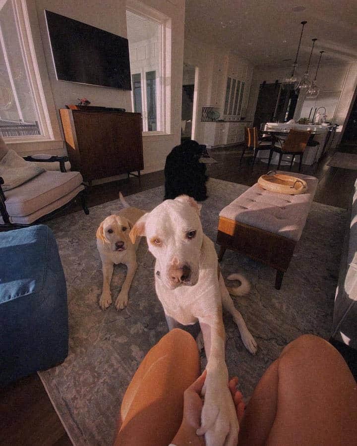 paw_family's tweet photo. Pm for my  new vids cost 45$ each with everlasting satisfaction 😋🥰🐶 check my telegram https://t.co/ZjzEsOfCh2
#zoosexual #zoosexuality #zoolove #zoopride #zoopositivity #zoosex #bestiality #zoosarevalid #furry #artofzoo #aoz #silesto #k9lady #dogwoman #zooskool https://t.co/KklxhVUrms