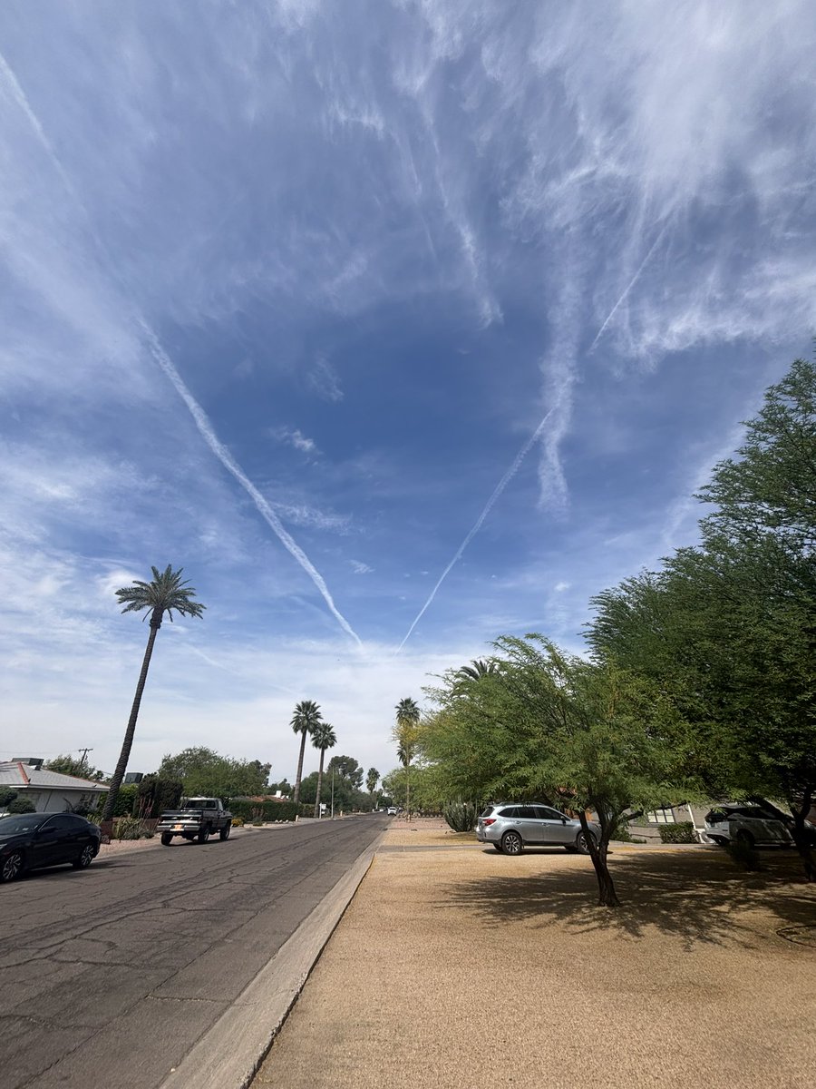 lydia sweetland tweet media