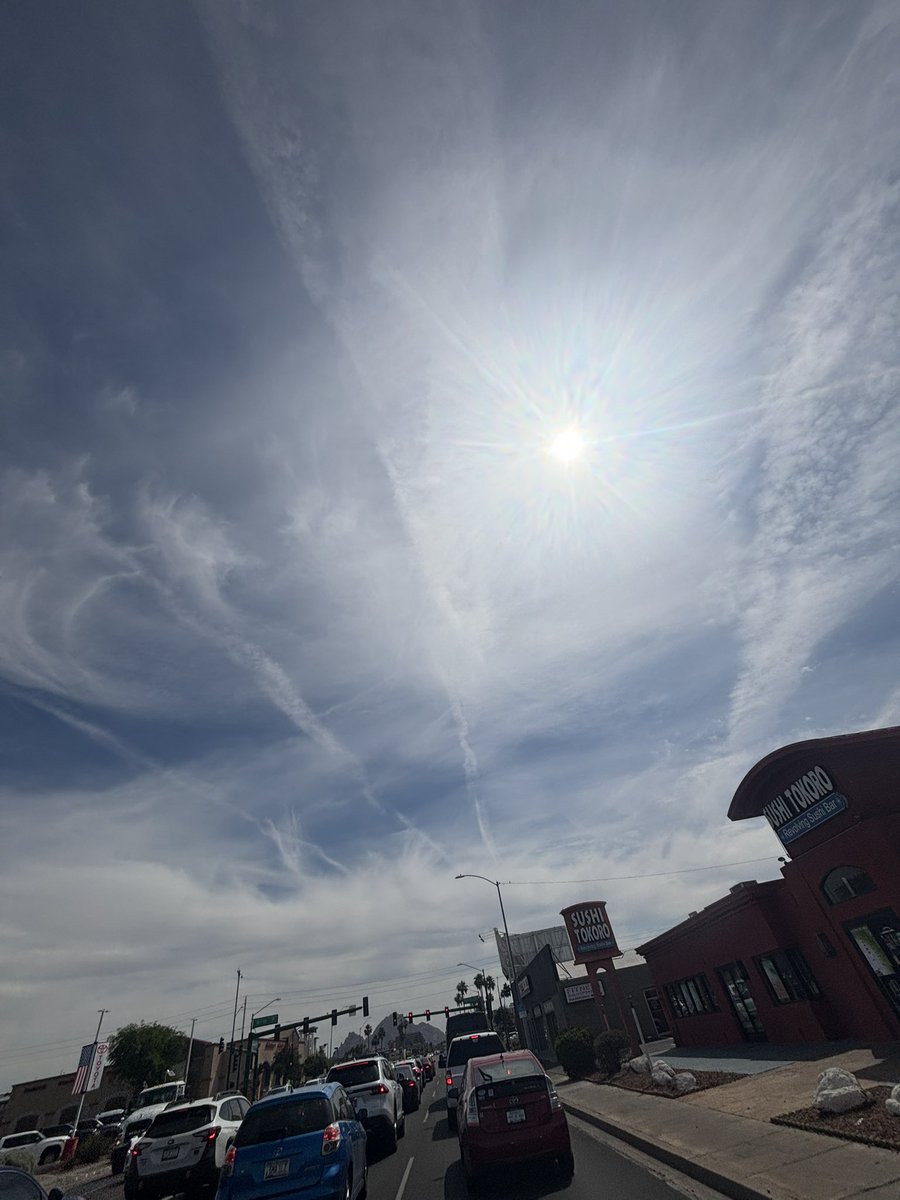 lydia sweetland tweet media