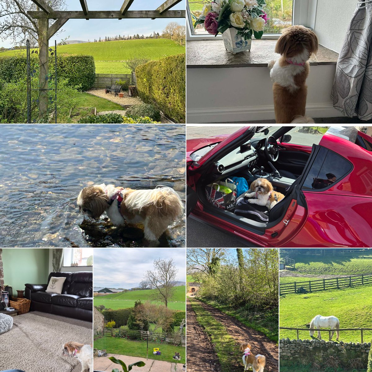 Bella🇬🇧 tweet media