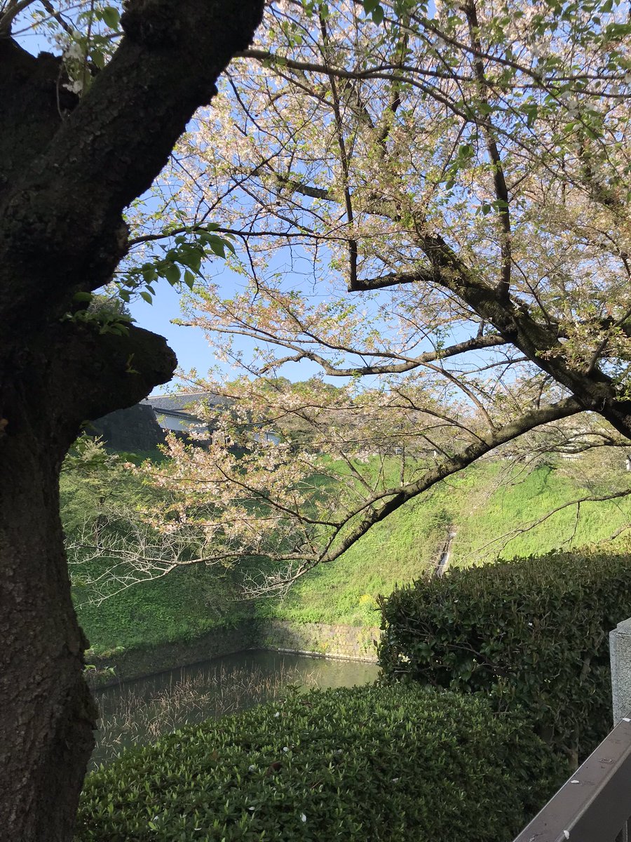 petermelon0214's tweet photo. https://t.co/ILRs7zfUKu