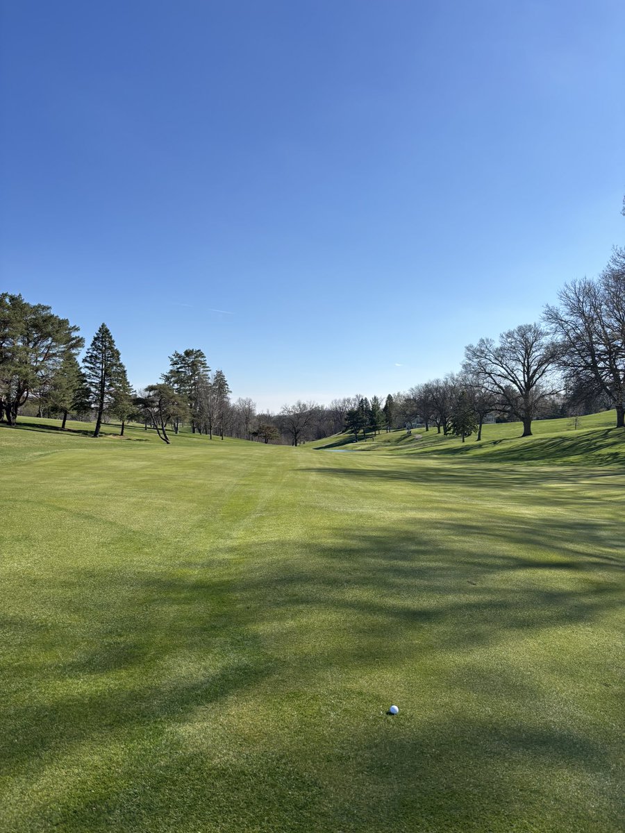 Gary “Twisted Freakazoid” Pringle CCA, CPAg tweet media