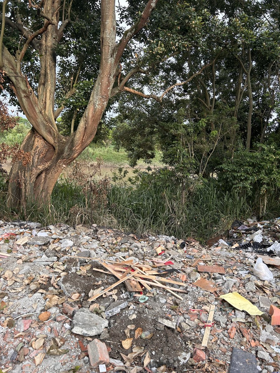 Maria Isabel Ulloa tweet media