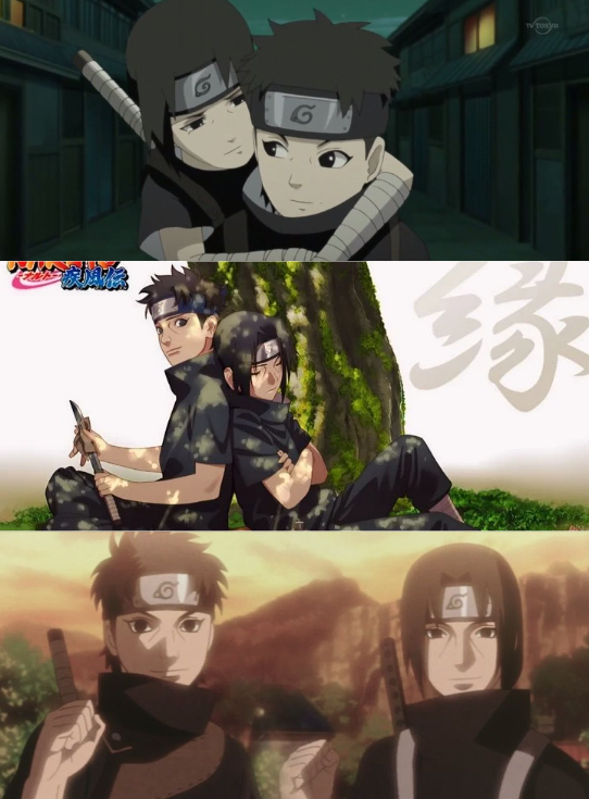 coiote. ᴮᴿ tweet media