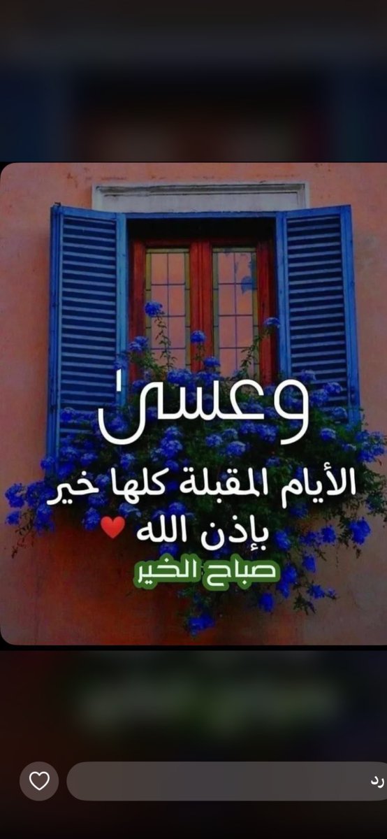 MW_Alshmry❤️🇰🇼❤️ tweet media