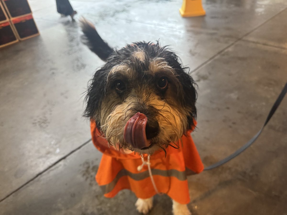 Builders who Run tweet media