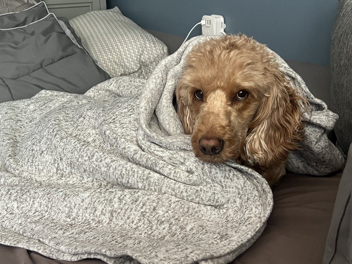 Caitlin Clark tweet media