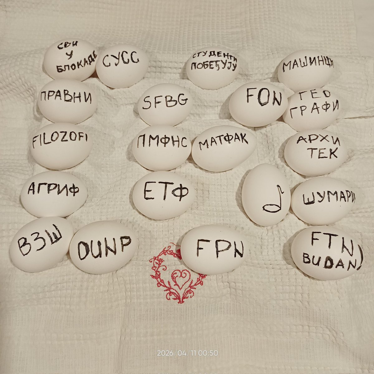 Koviljka tweet media