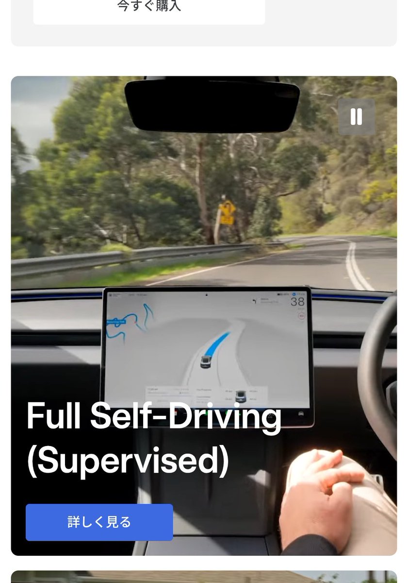 ルナテス@新型モデルY✨ tweet media