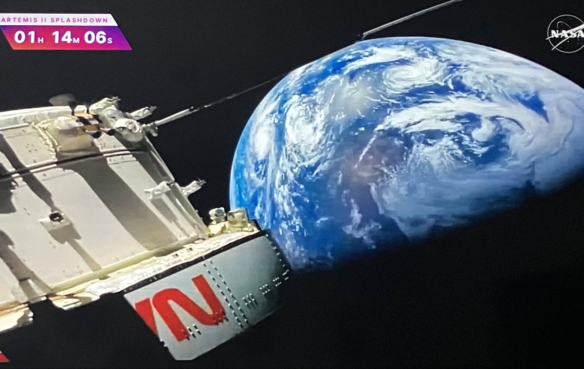 Tobia2410's tweet photo. Welcome Orion https://t.co/O5Lnmp2yDP