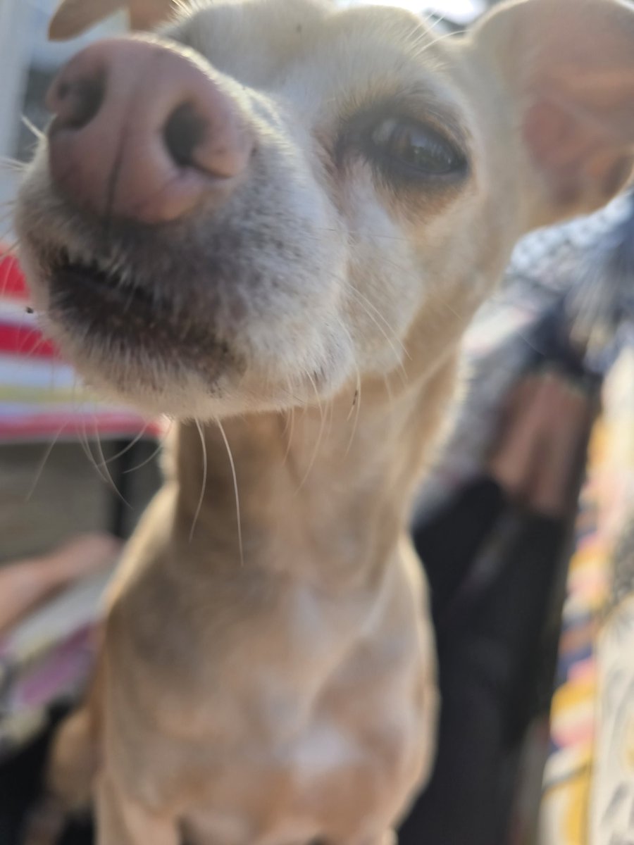 Today we're working really hard from the hammock