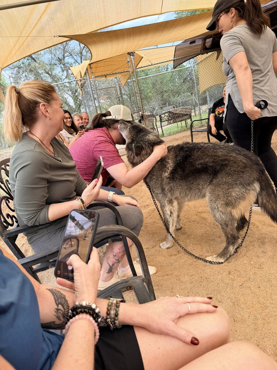 Qswin87_THF tweet media