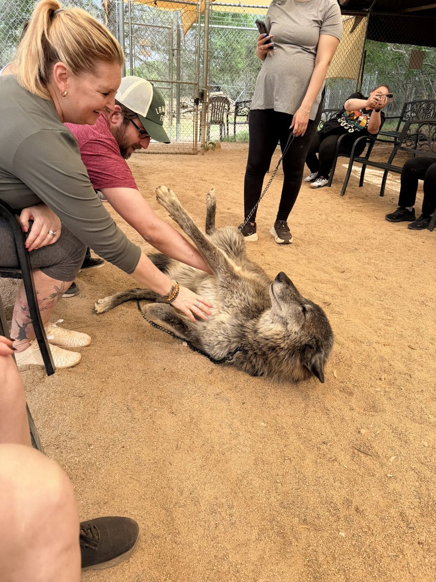 Qswin87_THF tweet media