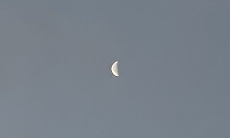 Minemototakeshi tweet media