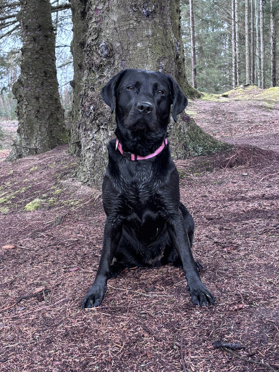 Minawawa 💫🦭 tweet media