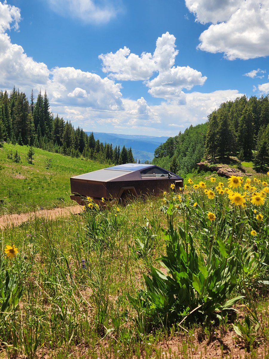 Stephen Kneubuehl tweet media