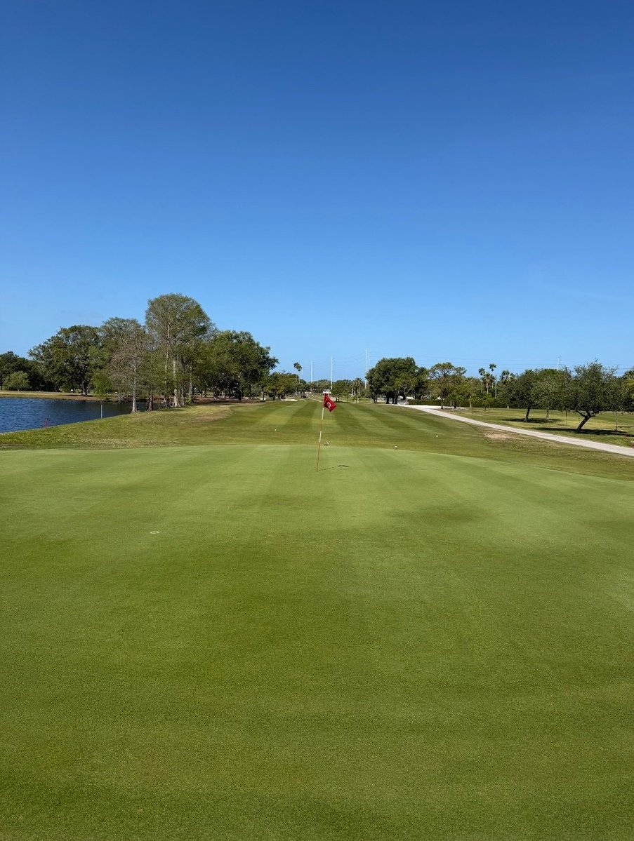 john reilly tweet media