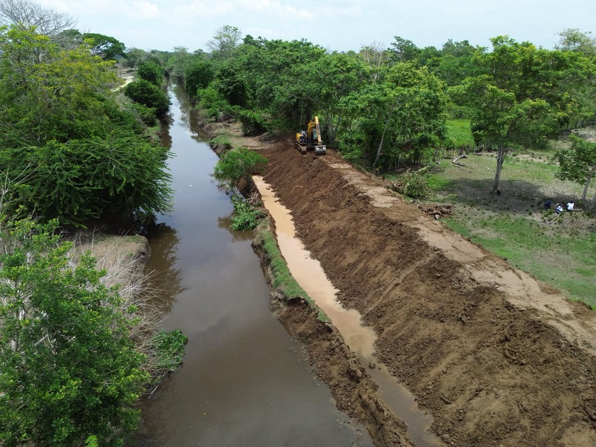 Juan Jose Lopez Negrette tweet media