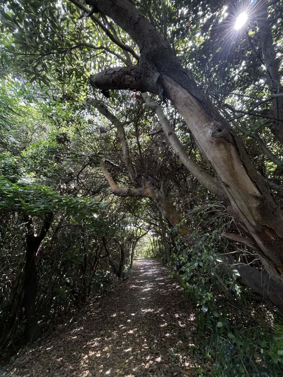 msmCh_108's tweet image. #HelloWorld #foryou