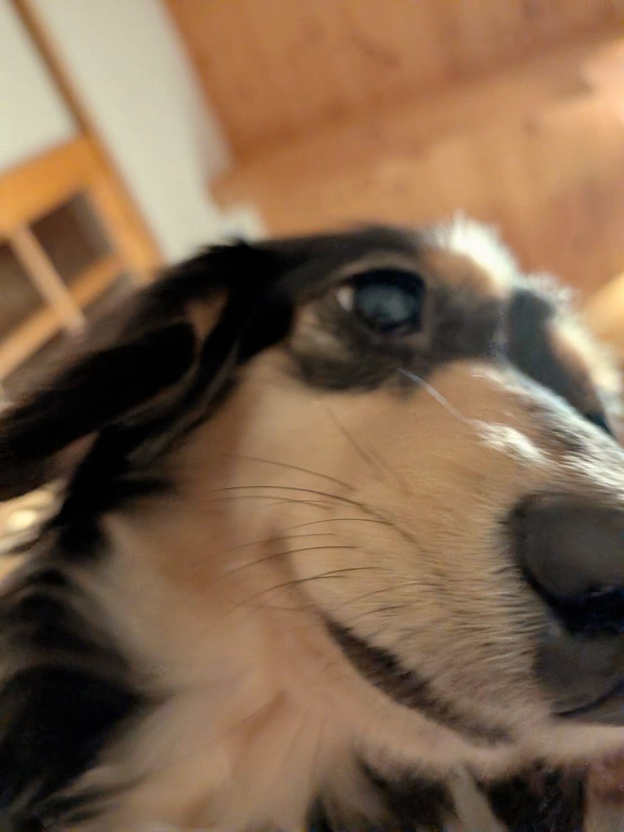 横山小寿々 tweet media