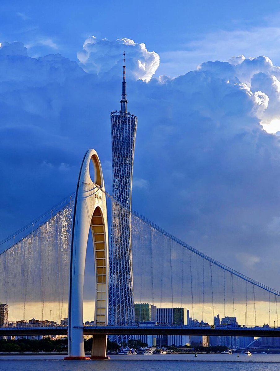 Fanyi🦋🌸 tweet media