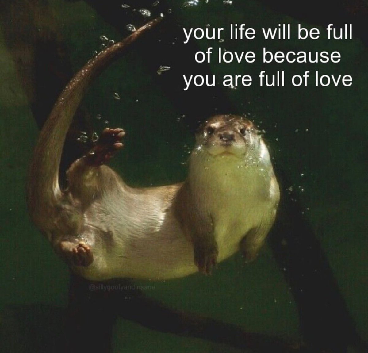 hopecore tweet media