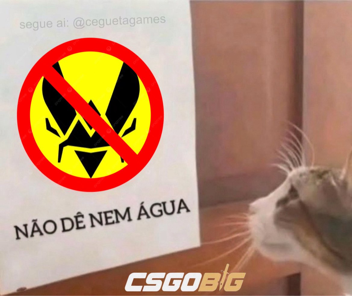 Lucas_SCCP14's tweet photo. @Vitality_apEX Vai passar sede paizão https://t.co/L94ECGmOON