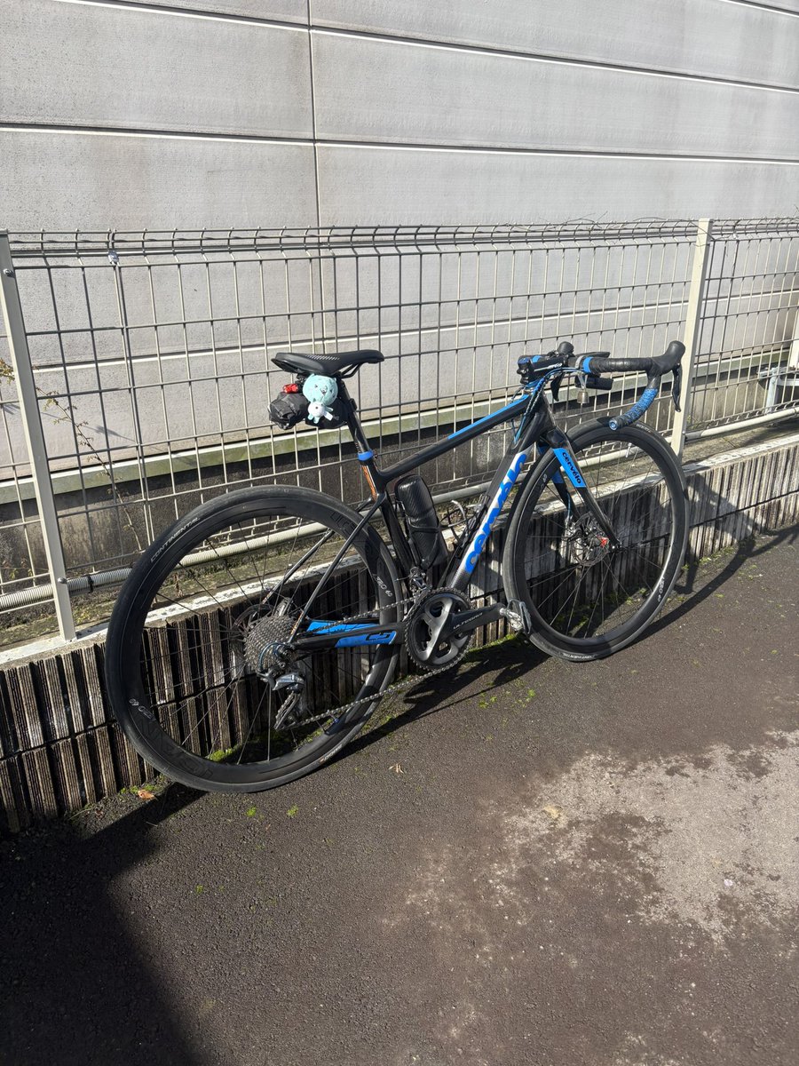 コーディ tweet media