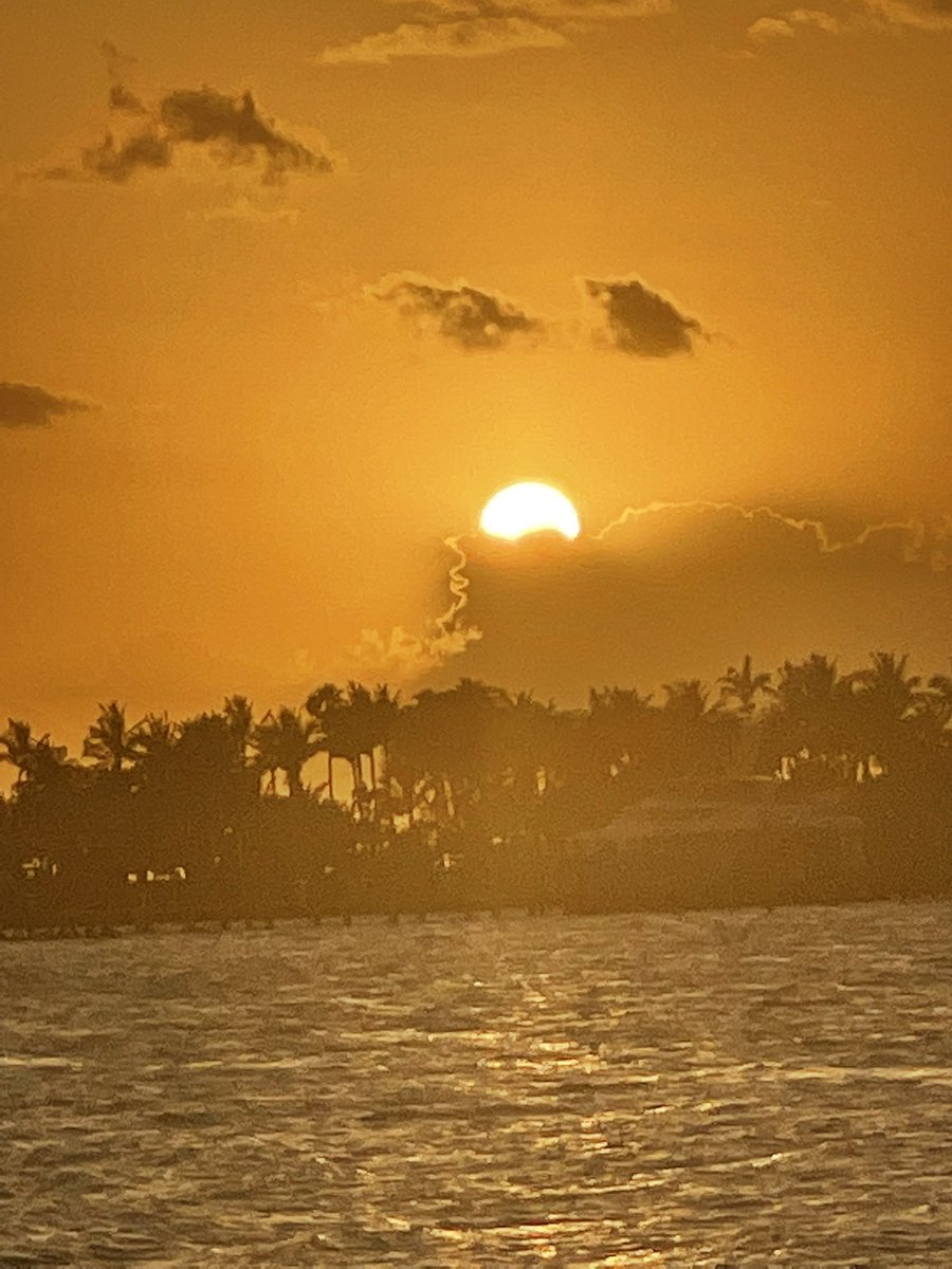 PuzzlesWeaponz tweet media