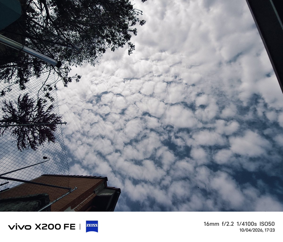 🅼🅸🅶🆄🅴🅻 tweet media