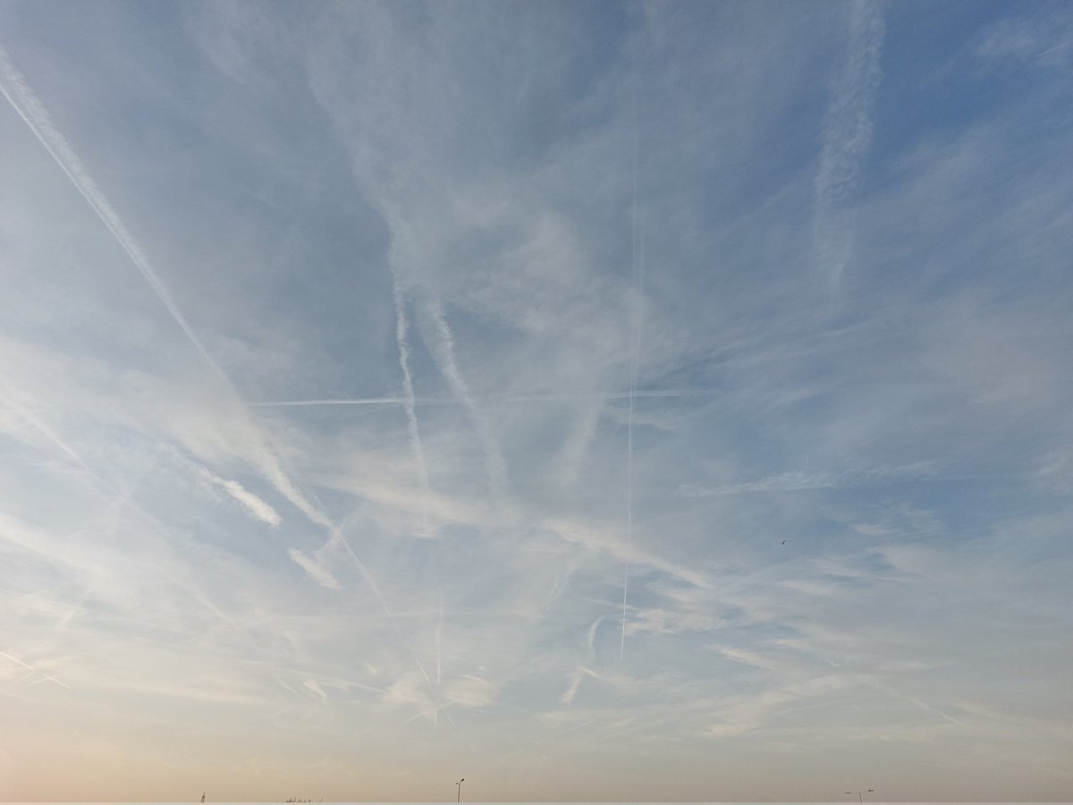 scott landers tweet media