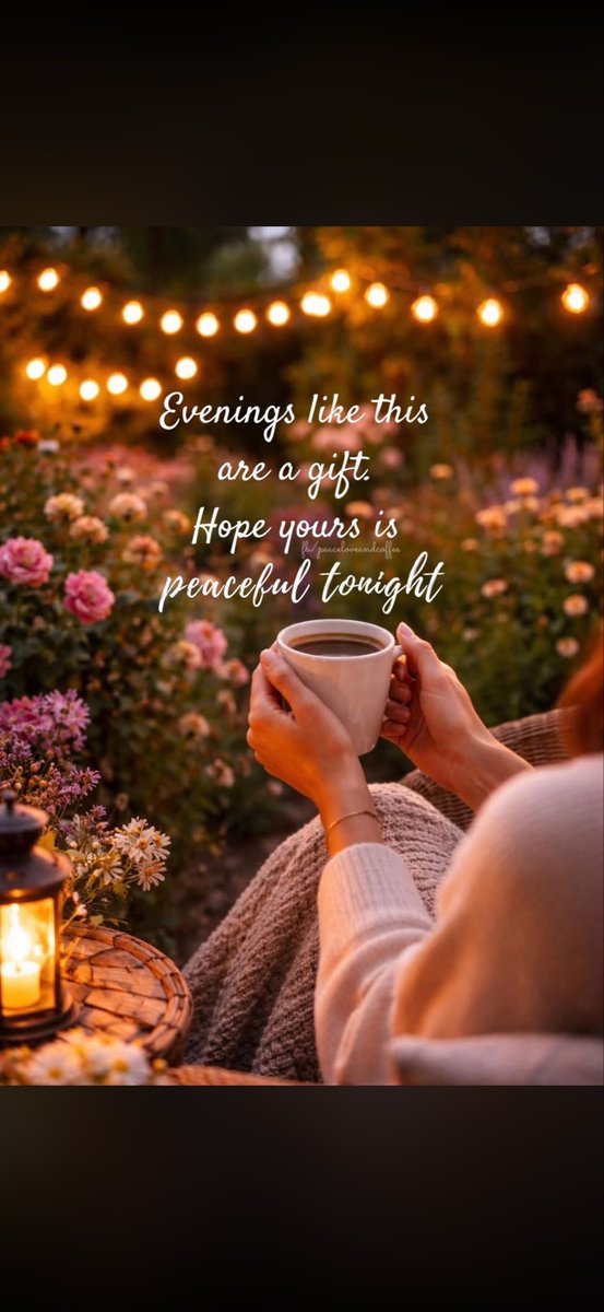 Primrose tweet media