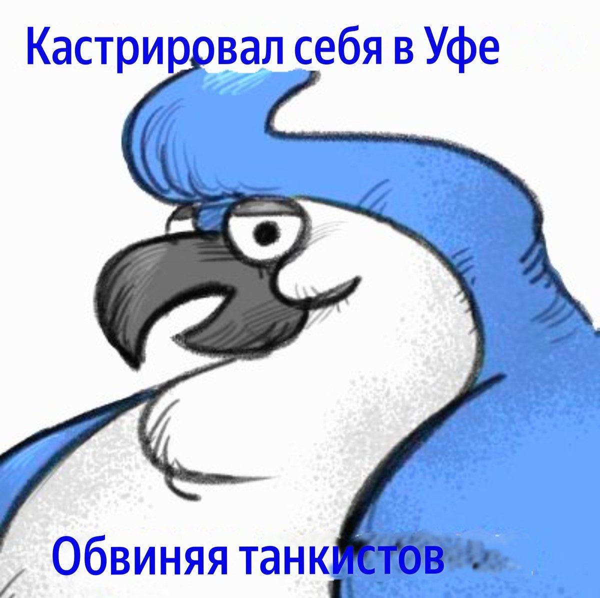 🍉Čmonja (Bosnia cultist)🇵🇸❤✡️🇺🇦🇧🇦🇨🇿🇦🇲 tweet media