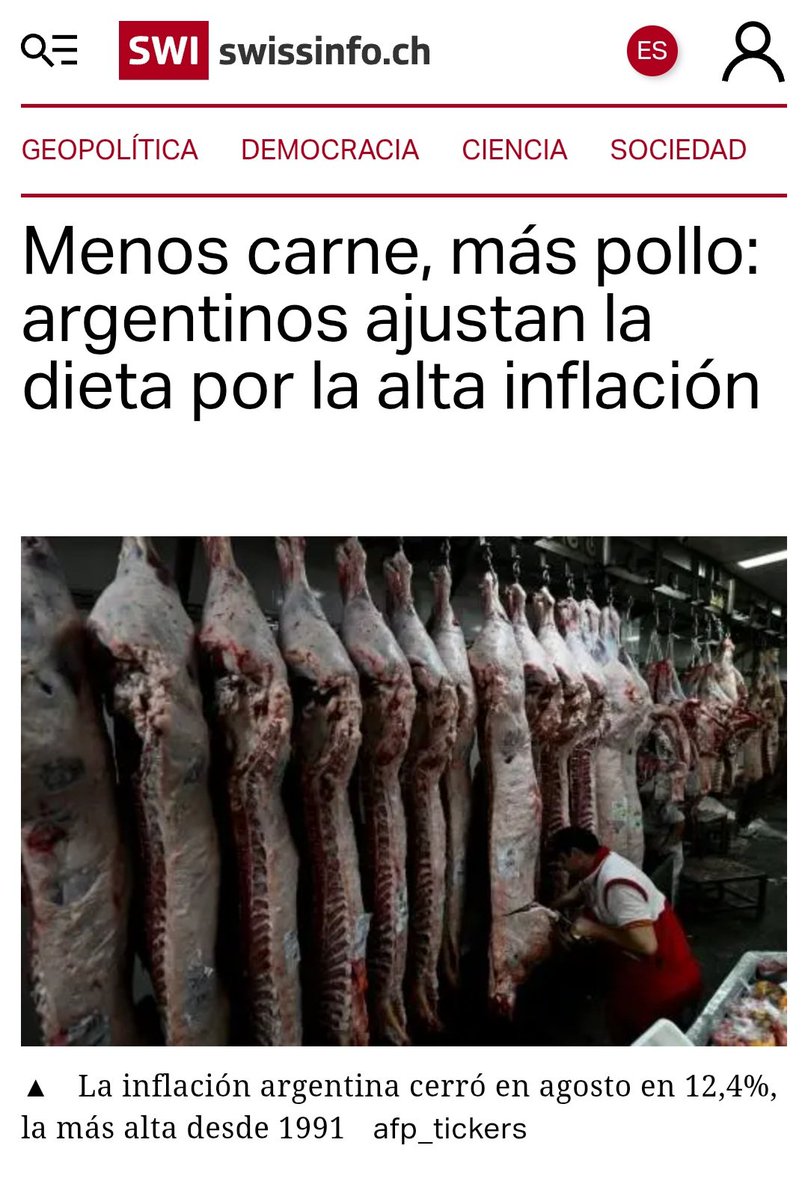 Oso pastel tweet media