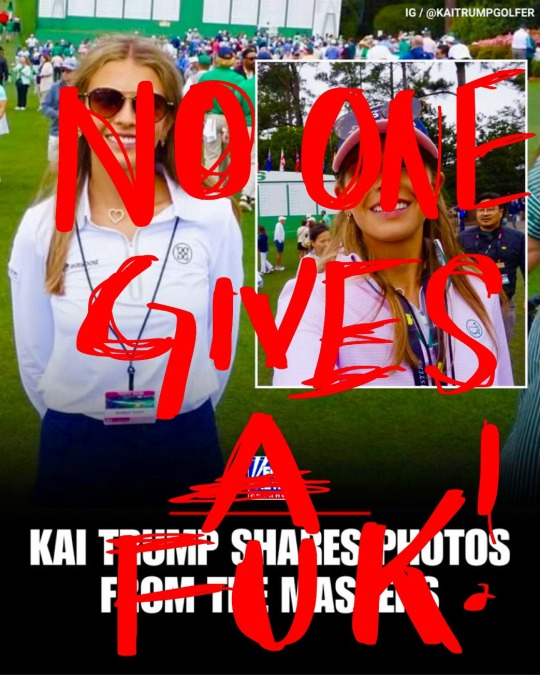 Brown Eyed Susan tweet media