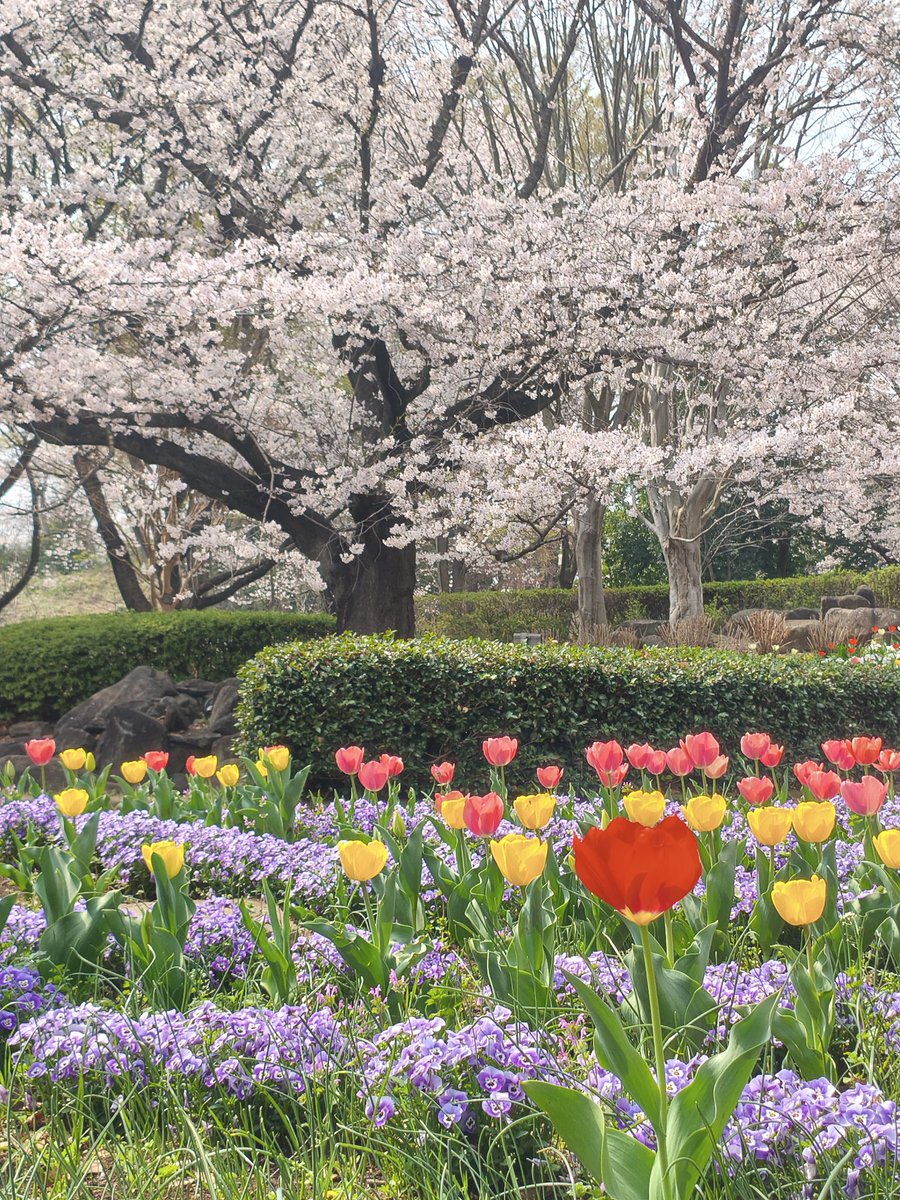 寛GSX-8TT_CT125@日本百観音巡礼中 tweet media