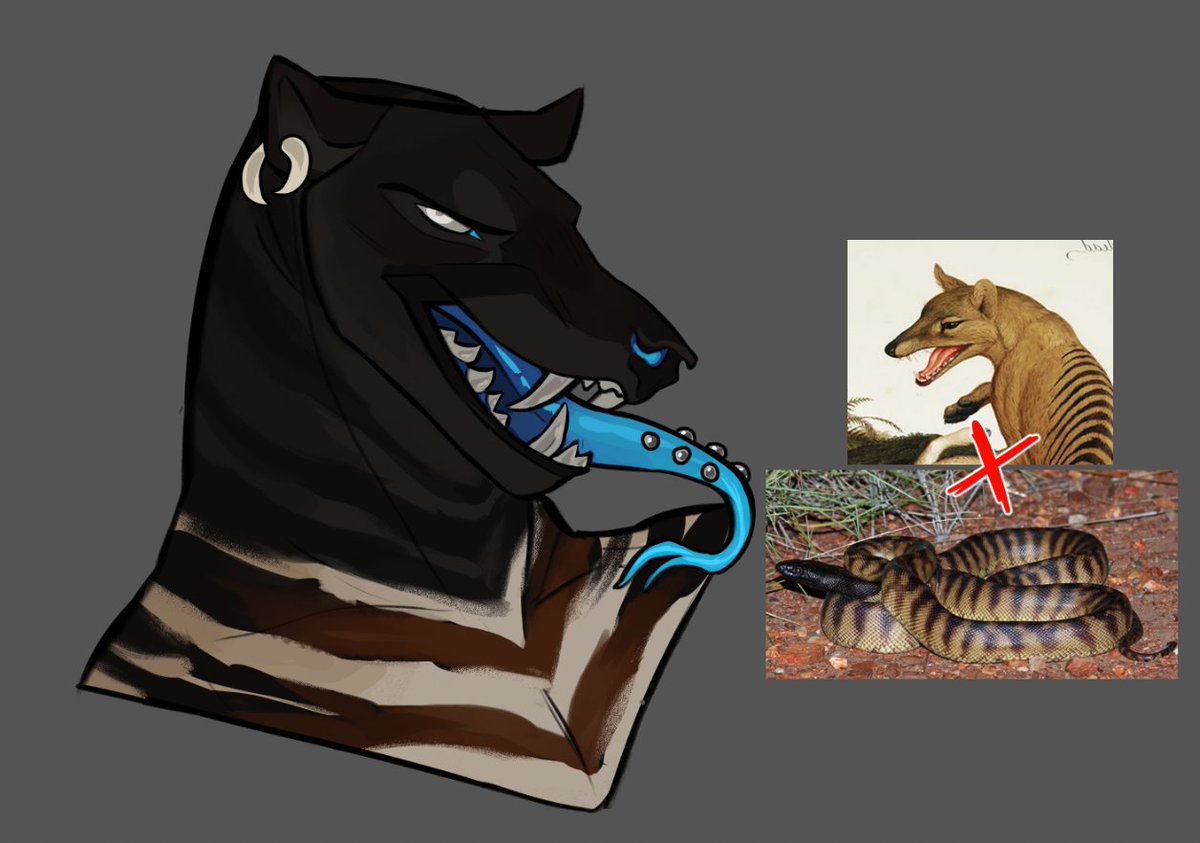 KumaCapra 𓃵 working! tweet media