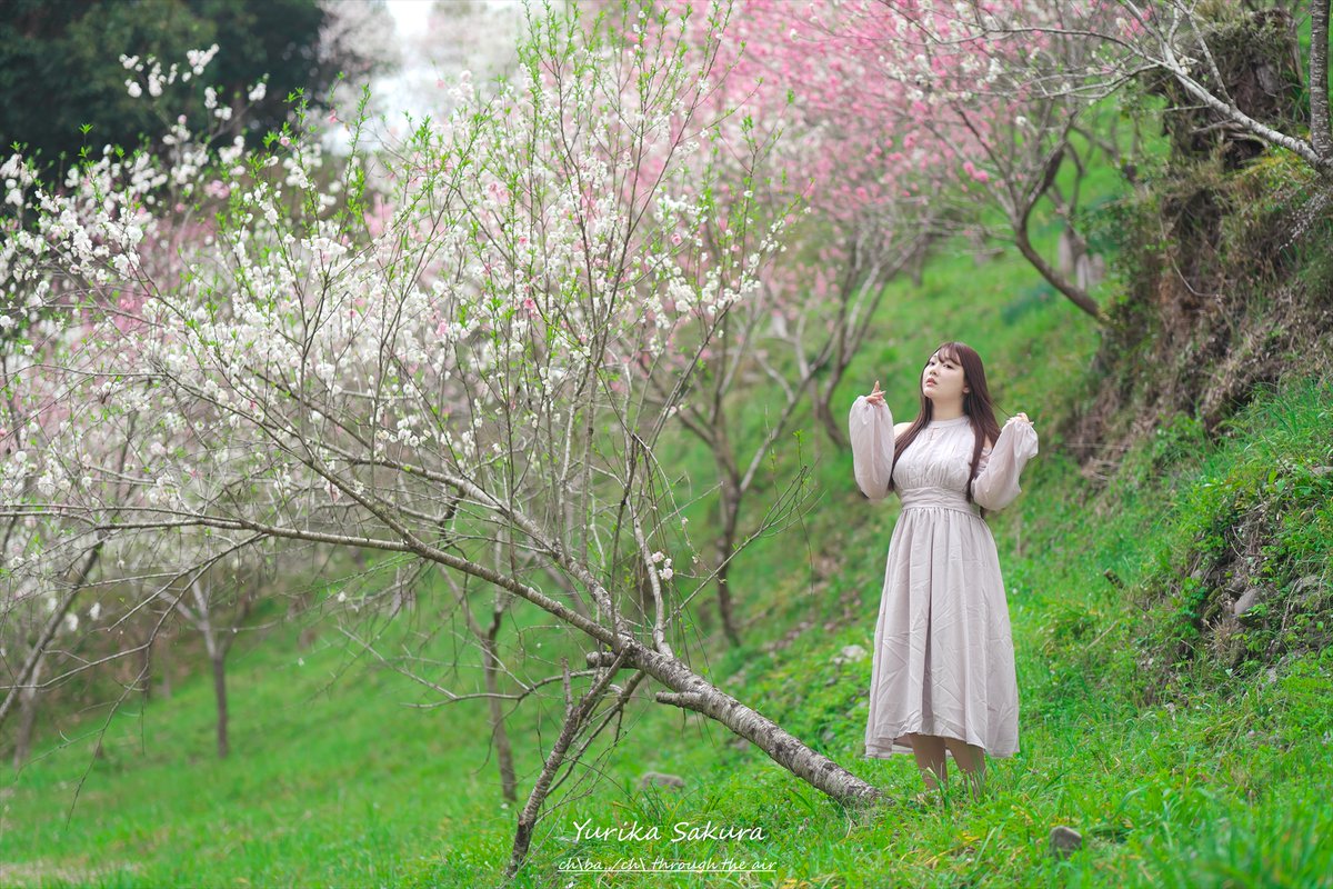 ちばっちの空気を貫けてぇ tweet media