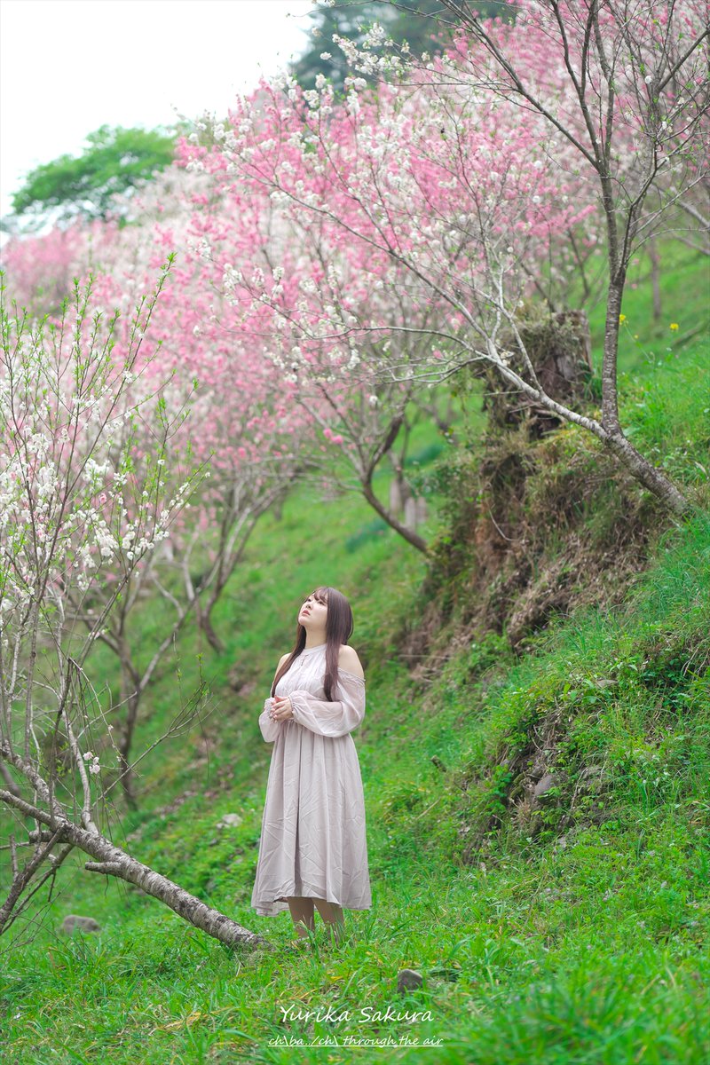 ちばっちの空気を貫けてぇ tweet media