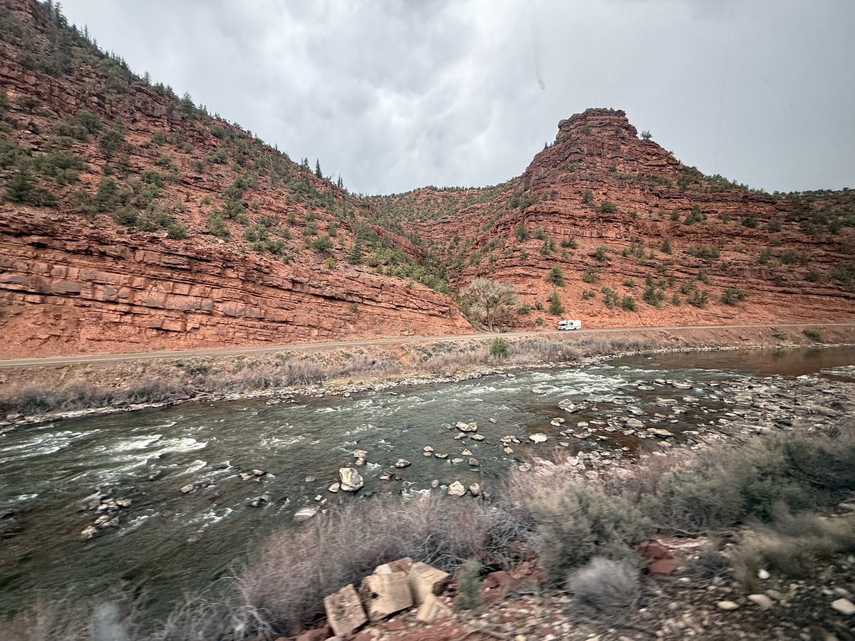 Heidi Priebe ⛰️☀️ tweet media