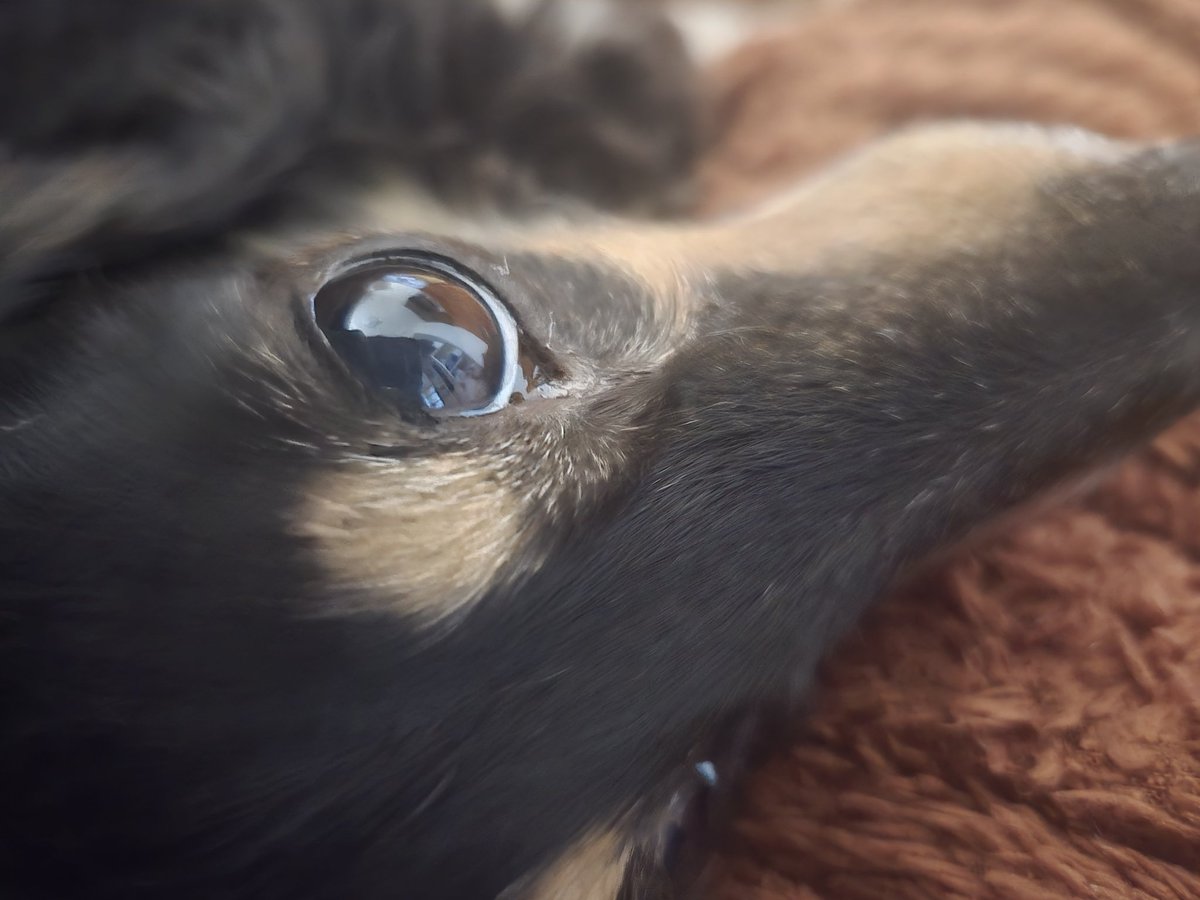 都忘れ tweet media