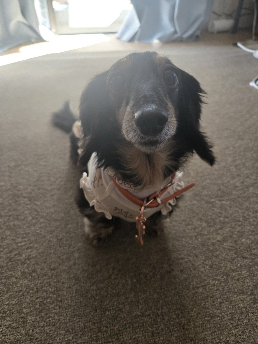 都忘れ tweet media