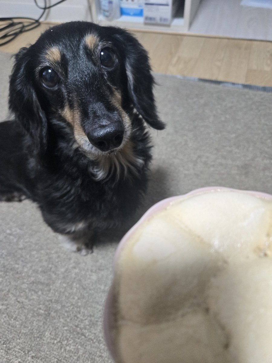 都忘れ tweet media