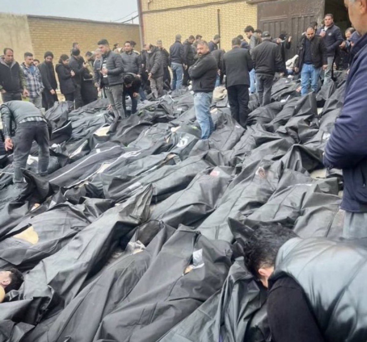 Sana Ebrahimi Ledene tweet media