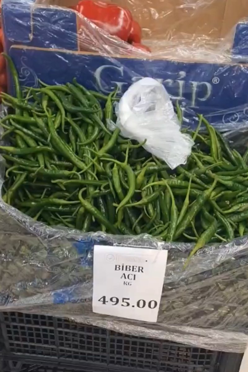 VATANSEVER tweet media