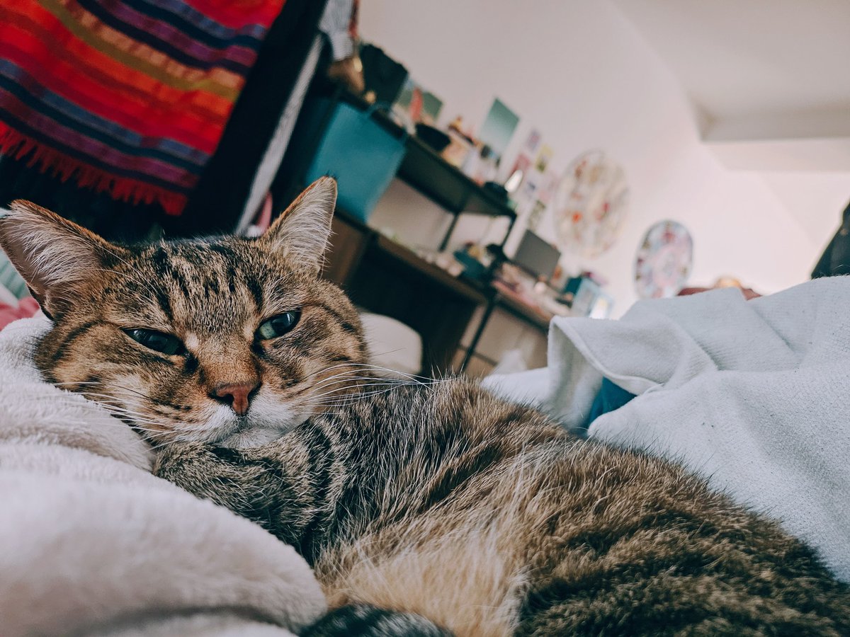 せっかくの土曜朝
起き出すのがもったいない