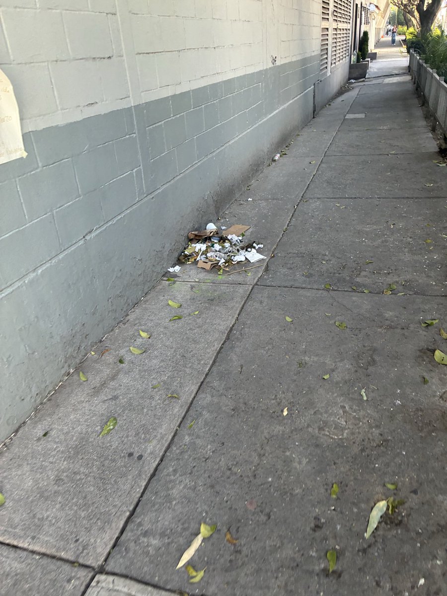 Alejandro tweet media