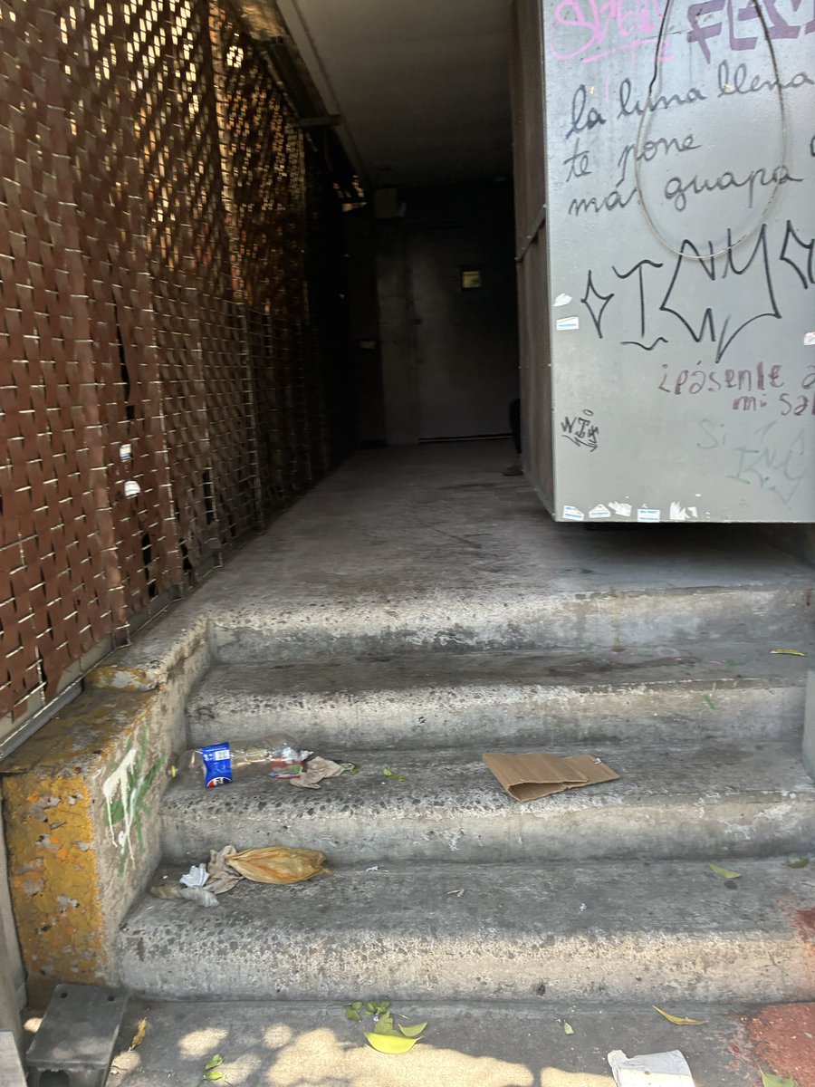 Alejandro tweet media